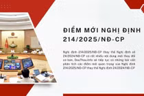 Nghị định 214: Những thay đổi then chốt trong xử lý tình huống đấu thầu