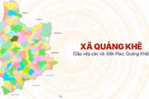 Công ty Rừng Thông Đắk Nông trúng loạt gói thầu chục tỷ đồng tại Lâm Đồng [Kỳ 1]