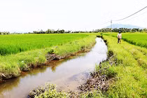 Công ty Minh Đạt NH: Nhà thầu "bách chiến bách thắng" và những mối quan hệ sân nhà [Kỳ 2]