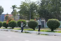 Đông Triều: Gói thầu cây xanh hơn 4,5 tỷ đồng vừa mở thầu đã bị tố gây hạn chế