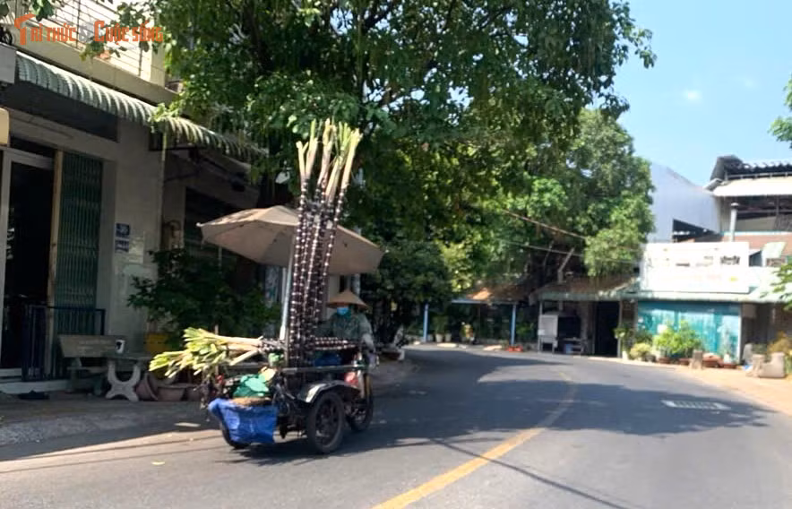 Người lao động mưu sinh trong thời tiết nắng nóng.