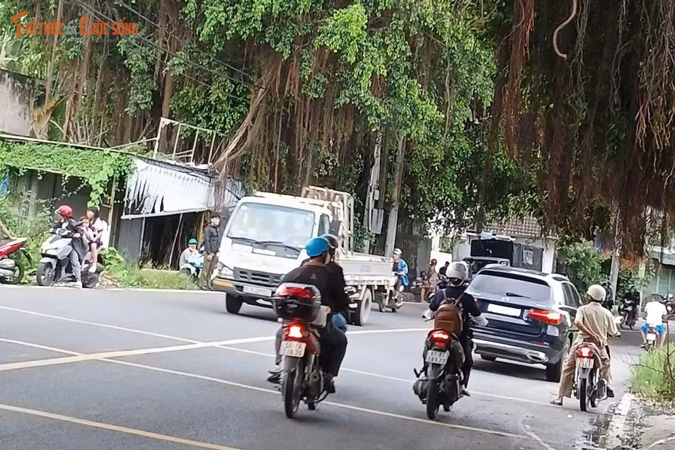 kto-tl_anh.jpg