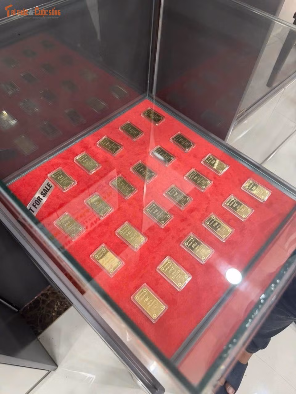 kto-tl_anh-3.jpg