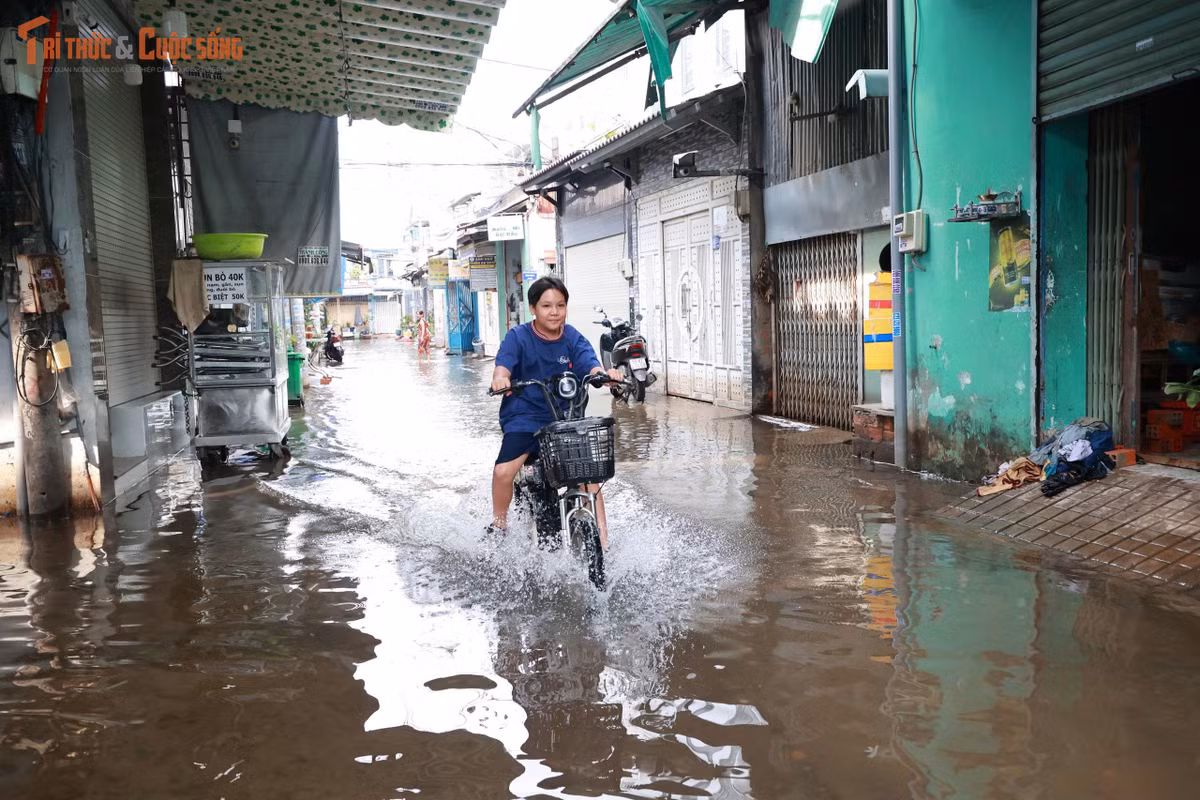 Cả tuần sau mưa, nước ngập lênh láng trong các con hẻm ở đường Công Nghệ Mới.