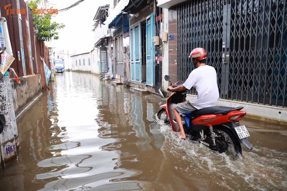 “Việc ngập dài ngày khiến đời sống người dân khó khăn vô cùng, chắc là do cống không thoát được nước. Chỉ mong chính quyền địa phương hỗ trợ người dân để đường được khô ráo trở lại”, một người dân địa phương nói.