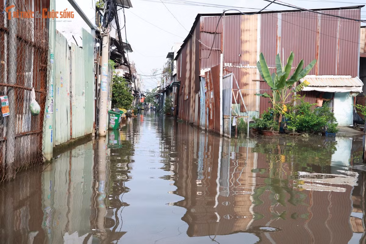 Người dân địa phương lo lắng tình trạng ngập nước kéo dài như vậy dễ phát sinh dịch bệnh.