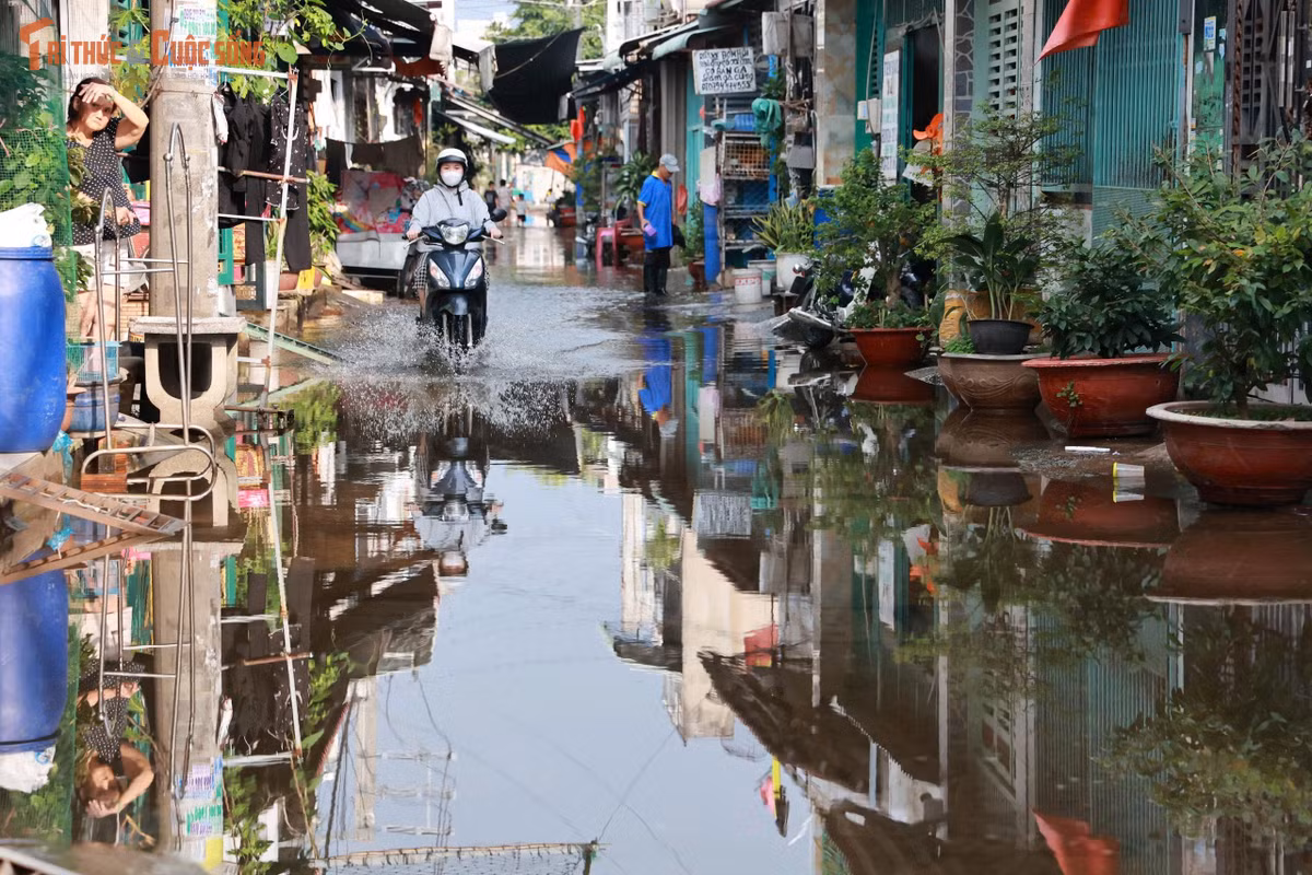 Nước phủ kín mặt hẻm, tràn sát cửa nhà dân.