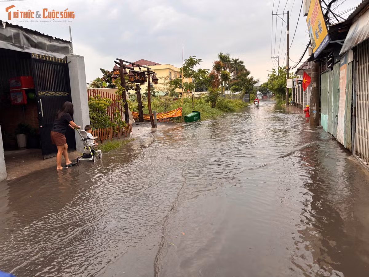 Một số tuyến đường bị ngập do nước mưa không thoát kịp, cộng với rác tràn xuống bịt kín các miệng cống thoát nước.