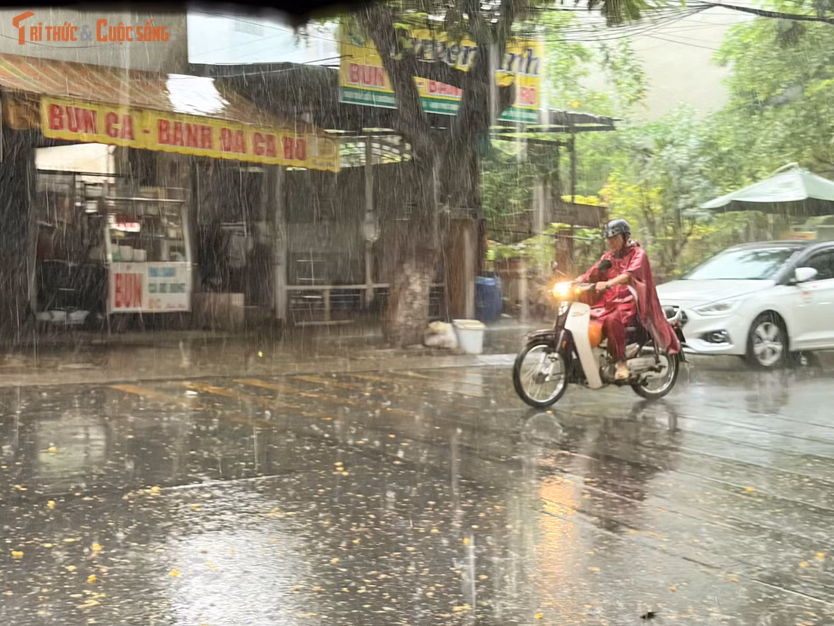 Chiều 2/5, nhiều khu vực ở TP HCM xuất hiện mưa lớn sau chuỗi ngày nắng nóng gay gắt. Mưa cũng giúp hạ nhiệt, xua tan thời tiết oi bức những ngày qua.
