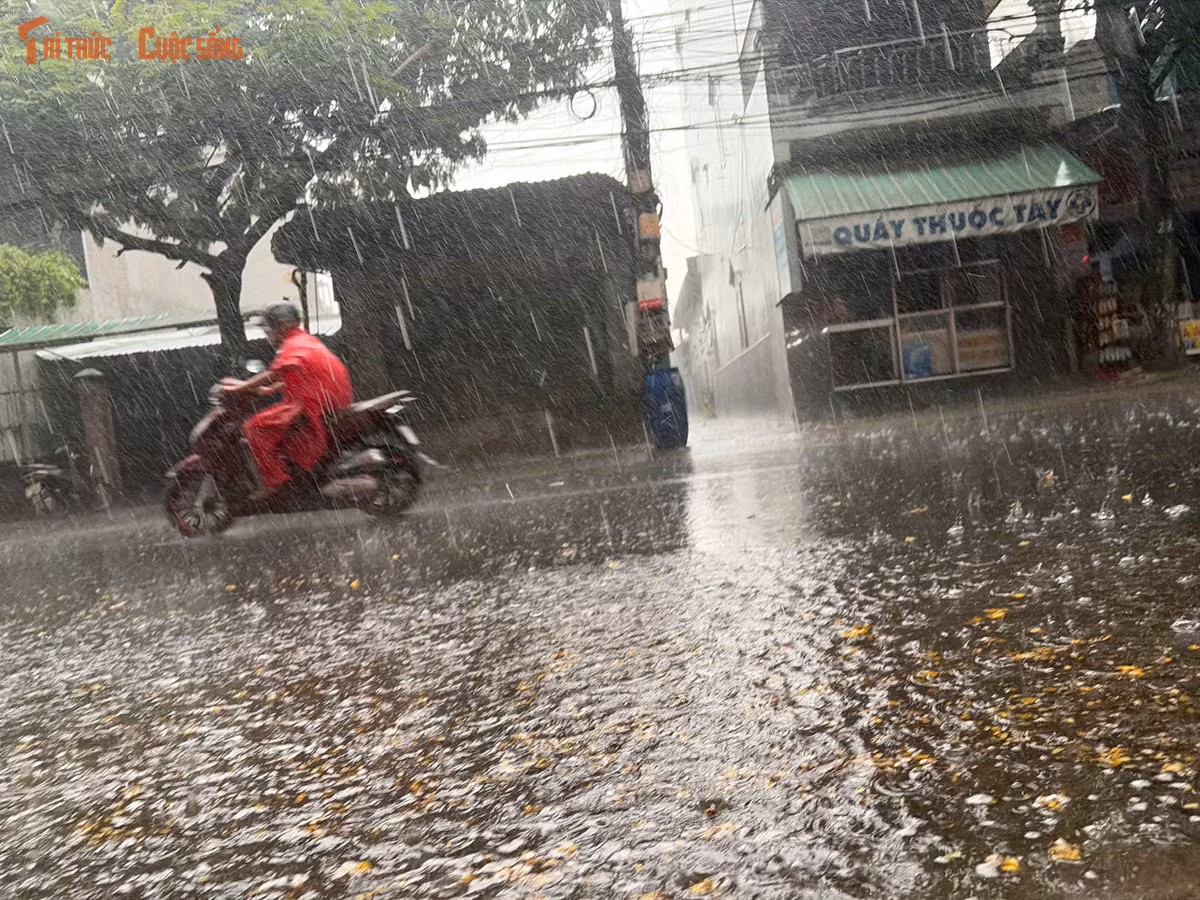 Các tuyến đường hẻm trong khu dân cư ở TP HCM nước ngập lênh láng.
