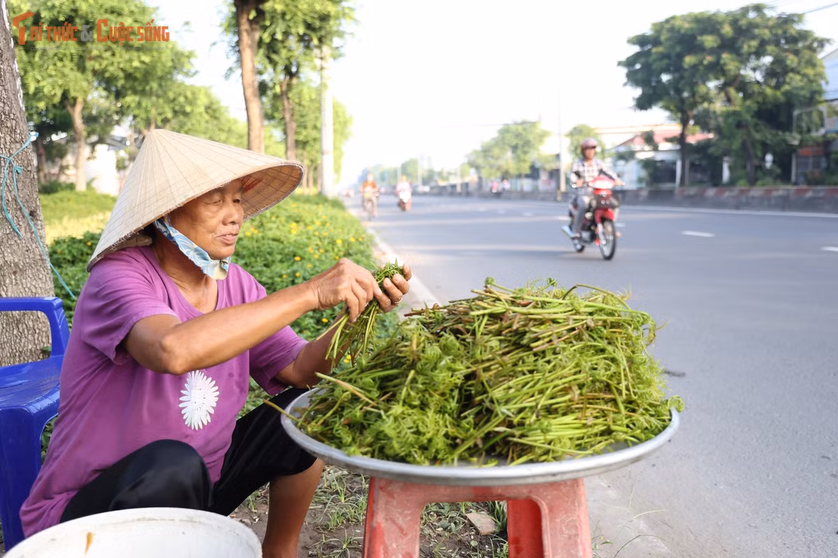 Với giá khoảng 40.000 đồng/kg, mỗi ngày anh Hùng thu nhập từ 150.000-200.000 đồng, số tiền chỉ vừa đủ trang trải tiền thuê trọ và chi phí sinh hoạt của hai mẹ con.