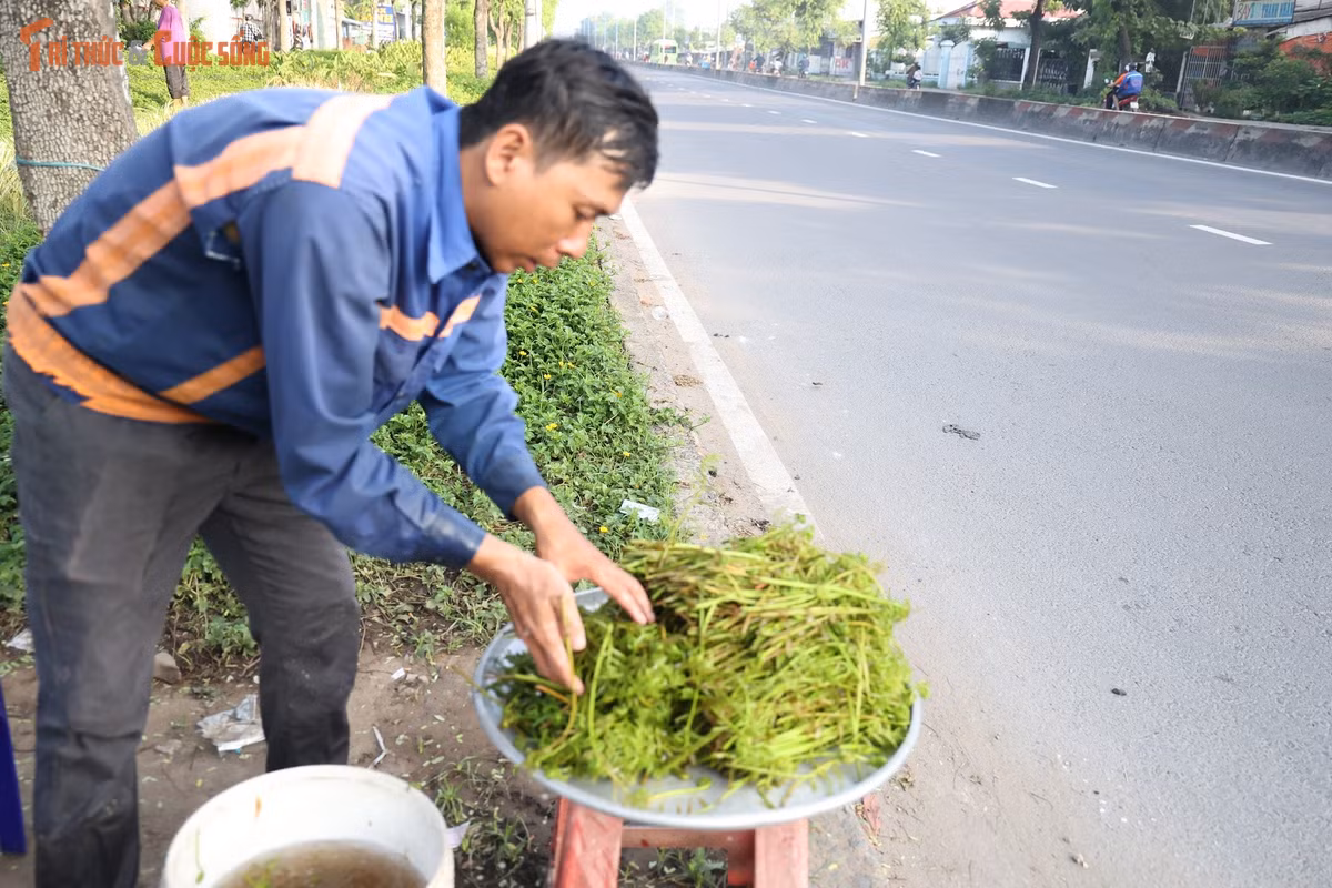 Hơn 40 tuổi vẫn sống độc thân, anh Hùng nhiều lần gác lại chuyện lập gia đình để chăm sóc mẹ già. Đằng sau những bó rau đọt choại bày bán tại các chợ và ven đường ở TP HCM là biết bao giờ lội bùn, những chuyến đi đầy hiểm nguy cùng nghị lực mưu sinh của người lao động nghèo