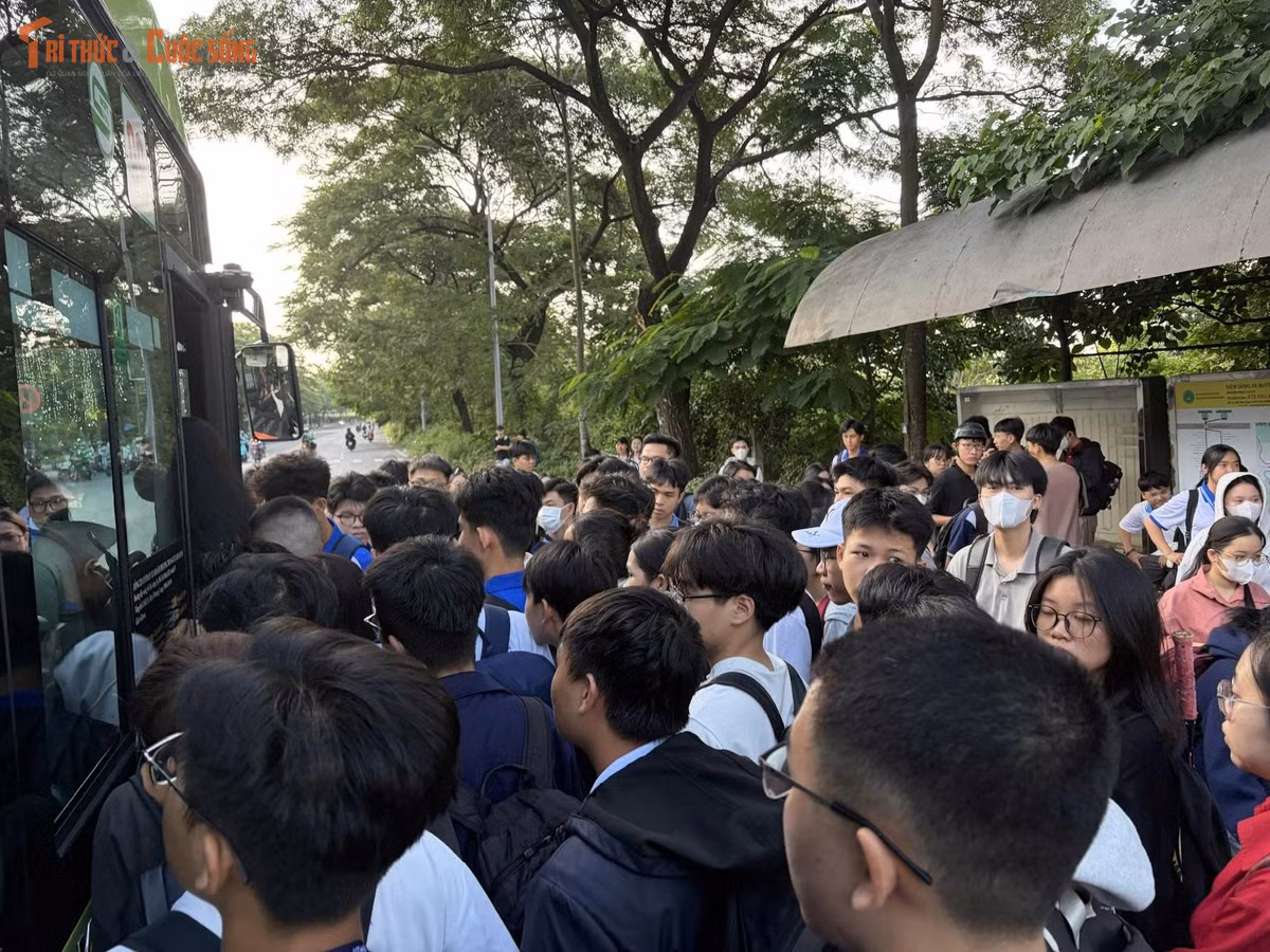 Mỗi khi xe buýt điện tiến vào trạm, hàng dài sinh viên lập tức dồn về phía cửa xe để tìm cách lên xe.