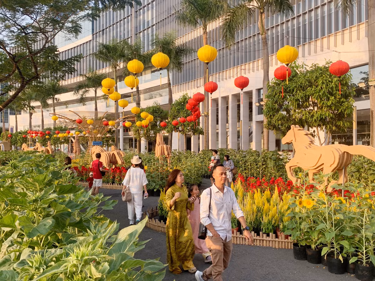 Một số gia đình tranh thủ check - in đường hoa trước ngày khai mạc chính thức 11/2.