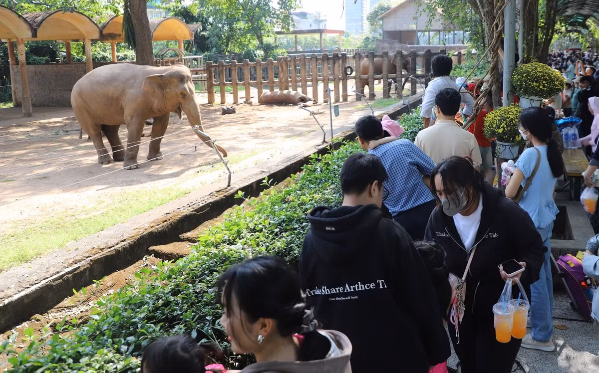 Các điểm xem thú thu hút lượng người đông nhất. Những con đường qua khu vực này thường dày đặc người qua lại, ngắm thú, nhất là trẻ nhỏ.