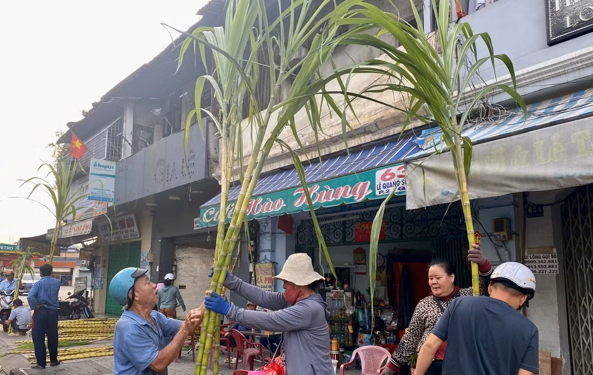 “Năm nào tôi cũng đến đây mua mía vàng cúng vía Trời với hy vọng năm mới làm ăn thuận lợi. So với những năm trước, năm nay giá mía cũng không cao”, người đàn ông cho biết.