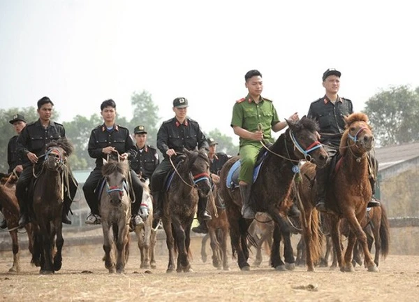 Điều chưa biết về Đoàn Cảnh sát cơ động Kỵ binh Việt Nam