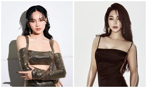 Ninh Dương Lan Ngọc và nhiều sao Việt từng rời showbiz đi du học