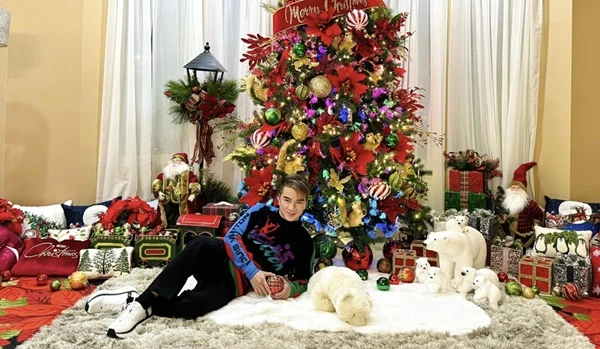 Đàm Vĩnh Hưng và dàn sao Việt trang hoàng nhà cửa đón Noel