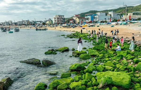 Bãi đá hình vòng cung tuyệt đẹp ở Quy Nhơn hút du khách