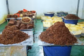 Triệt phá đường dây "hô biến" thịt trâu thành khô bò, thu lợi khủng