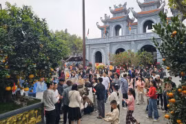 Điều đặc biệt khiến đền Tranh hút khách du xuân, chiêm bái