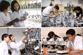 Hải Phòng ban hành Kế hoạch hành động phát triển đội ngũ trí thức