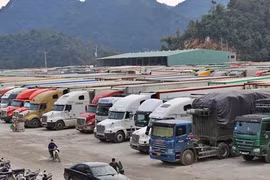 Tiếp tục lùi thực hiện Nghị định 46 về an toàn thực phẩm