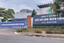 Đà Nẵng yêu cầu khẩn trương xử lý ô nhiễm môi trường tại nhà máy giấy 