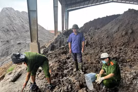 Gây ô nhiễm, giám đốc Công ty Tân Thuận Phong ở Hải Phòng bị bắt