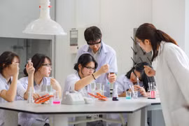 Phương án sắp xếp các trường học, bệnh viện trên cả nước
