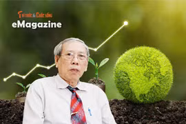 [e-Magazine] Đất nước vươn mình...phải phát triển xanh