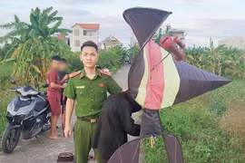 Hải Phòng thu giữ diều sáo bay tầm cao, ảnh hưởng an toàn hàng không
