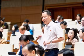Lý do ĐBQH đề xuất đưa kim cương vào diện kinh doanh có điều kiện