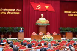 Kiên quyết xử lý vi phạm, kỷ luật trường hợp gây trì trệ
