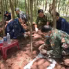 Liên tiếp phát hiện 13 hài cốt liệt sĩ ở Quảng Trị