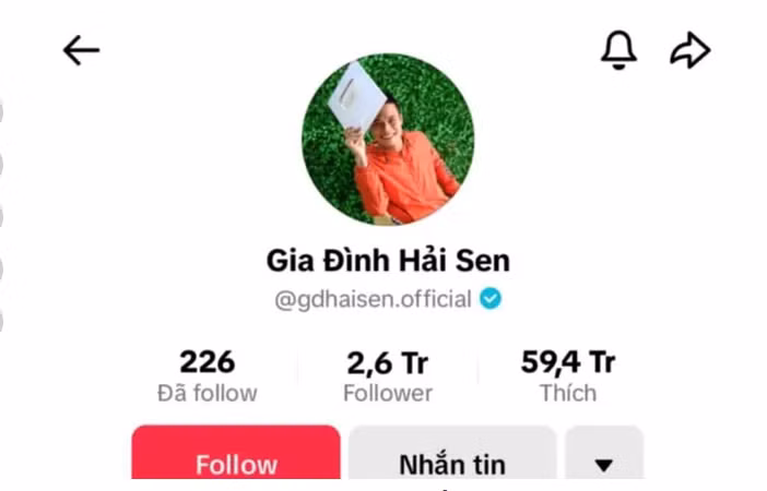 Trong tháng cao điểm về tăng cường đấu tranh chống hàng giả, qua việc nắm tình hình trên không gian mạng, Công an tỉnh Ninh Bình phát hiện tài khoản mạng xã hội TikTok “Gia đình Hải Sen” của Lê Văn Hải là thành viên sáng lập của Công ty TNHH Hải Bé. Tin Hải bị bắt khiến "Gia đình Hải Sen" trở thành từ khóa được tìm kiếm rất nhiều trên mạng xã hội.