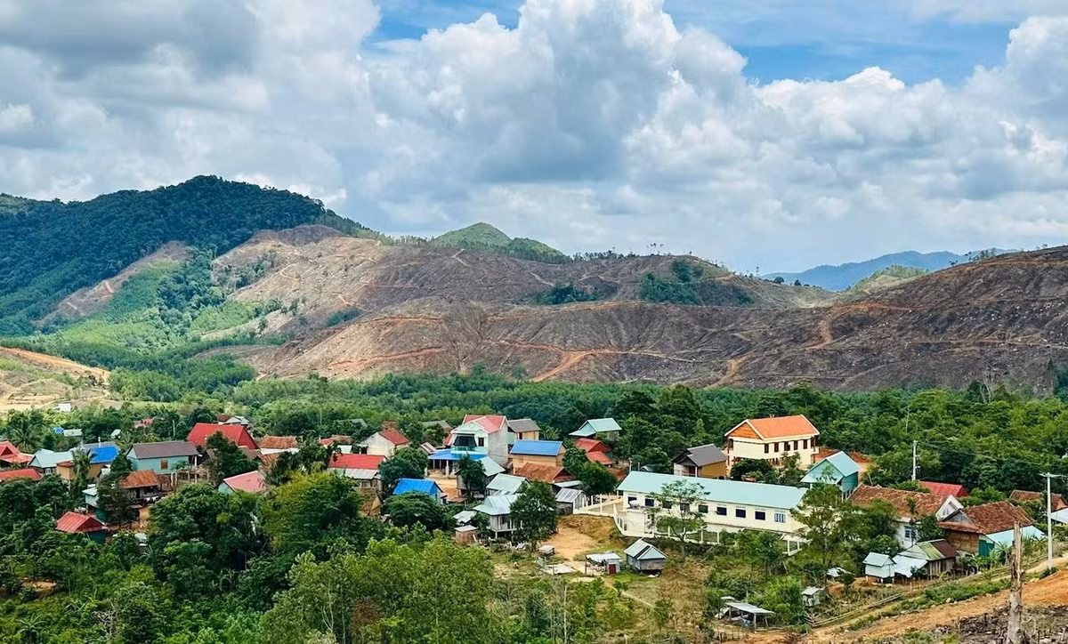 Một cuộc rà soát trên quy mô lớn được tiến hành, các đối tượng nằm trong diện nghi vấn đều được gọi hỏi, nhưng chẳng có kết quả. Các trinh sát đi từng nhà trong thôn để hỏi về con dao được tìm thấy ở hiện trường. Tuy nhiên, ở vùng núi như Tân Minh thì hầu như nhà nào cũng có 1 con dao ná ná vậy. Việc truy tìm nguồn gốc con dao lạ dậm chân tại chỗ. (Ảnh minh họa, nguồn internet)