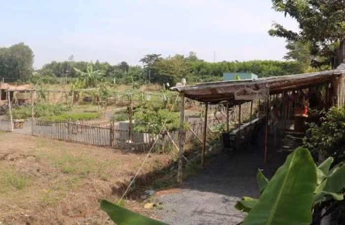 Kết quả xác minh, Chanh sinh ra trong gia đình có 9 người con ở xóm Vũ Trấn, huyện Phú Bình, tỉnh Thái Nguyên. Vì hoàn cảnh gia đình, Chanh chỉ học hết lớp 7. Sau khoảng thời gian đi nghĩa vụ quân sự, đối tượng xuất ngũ, trở về nhà, lập gia đình. Vợ chồng Chanh được bố mẹ hai bên hỗ trợ, chu cấp cho mảnh đất để làm ăn. (Ảnh minh họa, nguồn internet)