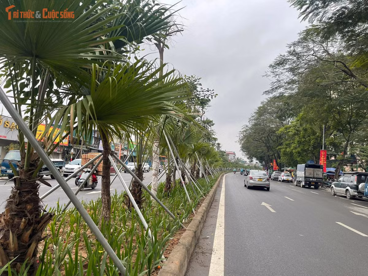 Dọc tuyến từ khu vực Kim Đồng - Giải Phóng đến Đầm Hồng, mặt đường đã được thảm nhựa đồng bộ, các làn xe được kẻ vạch rõ ràng.