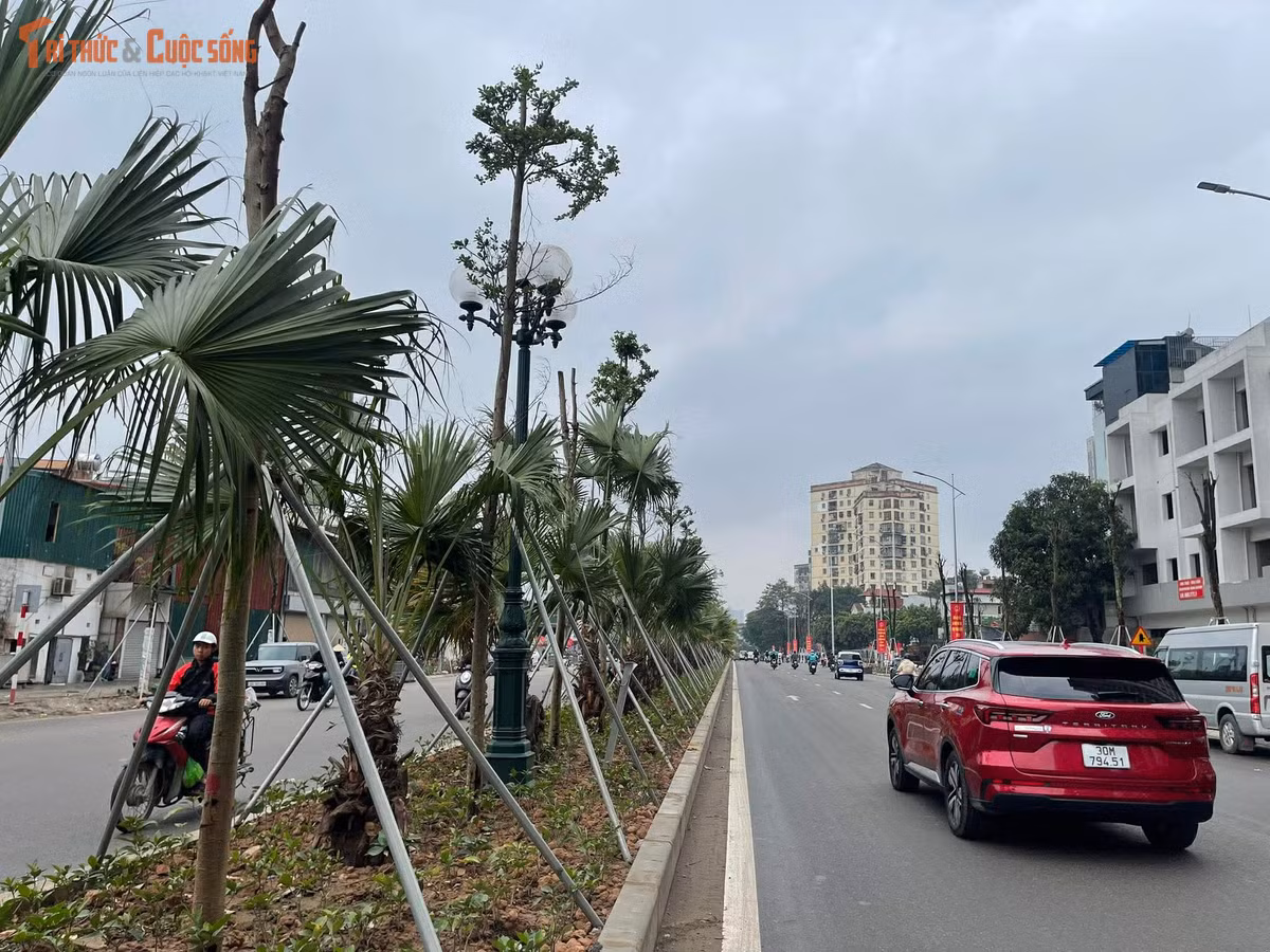 Dự án được khởi công từ tháng 3/2014, dự kiến hoàn thành vào năm 2018. Nhưng dự án kéo dài đến năm 2020 thì tạm ngưng thi công khi mới đạt khoảng 40% khối lượng công việc. Nguyên nhân do thời gian thực hiện hợp đồng chưa được gia hạn, đồng thời báo cáo nghiên cứu khả thi điều chỉnh chưa được phê duyệt.