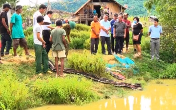 Phải đợi cho đến khi nước con rạch sát bãi bồi cạn đi, dân làng mới phát hiện những dấu vết lạ. Khi bới lên, phát hiện xác nạn nhân trong tình trạng lõa thể. Kết quả giám định cho thấy, đây là vụ án giết người đặc biệt nghiêm trọng, có nhiều khả năng kẻ gây án đã cưỡng hiếp nạn nhân rồi giết chết để bịt đầu mối và cướp tài sản. (Ảnh minh họa, nguồn internet)