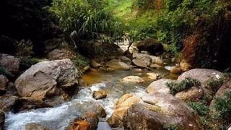 Sẵn có rượu trong người, lại bị mắng nhiếc, Khỏ vùng dậy dùng tay bóp cổ vợ, đồng thời ép quan hệ tình dục. Không dừng lại ở đó, gã tiếp tục dùng dây thắt lưng bằng vải quấn, siết cổ nạn nhân tới khi bất động. Khi hơi men tan dần, Khỏ sờ vào ngực trái chị Vấn thấy tim ngừng đập, biết vợ đã tử vong nên gã vô cùng lo sợ. Trong đêm tối mịt mùng, Khỏ tức tốc vác thi thể vợ, men theo lối mòn mang xuống khe suối Nậm Cuổi cách nhà vài trăm mét để phi tang. Tại đây, sau khi quan sát địa hình, Khỏ đã nhét thi thể chị Vấn vào hốc sâu, sau đó dùng đất đá vùi lấp lại. (Ảnh minh họa, nguồn internet)