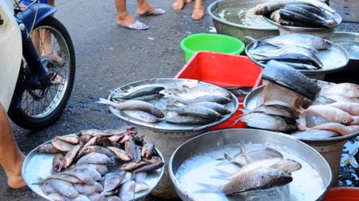 Tiếp tục rà soát, các trinh sát đã phát hiện Khải đang lẩn trốn ở Sơn La. Các trinh sát tiếp tục truy dấu và nhanh chóng phát hiện manh mối Khải có quan hệ tình cảm với một người phụ nữ bán cá tại Chiềng Cơi. Người phụ nữ này từng đến chuộc chiếc xe máy do Khải cầm cố ở tiệm cầm đồ. (Ảnh minh họa, nguồn intrernet)