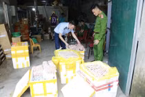Phát hiện hơn 4.000 sản phẩm thực phẩm đông lạnh không rõ nguồn gốc ở Nghệ An