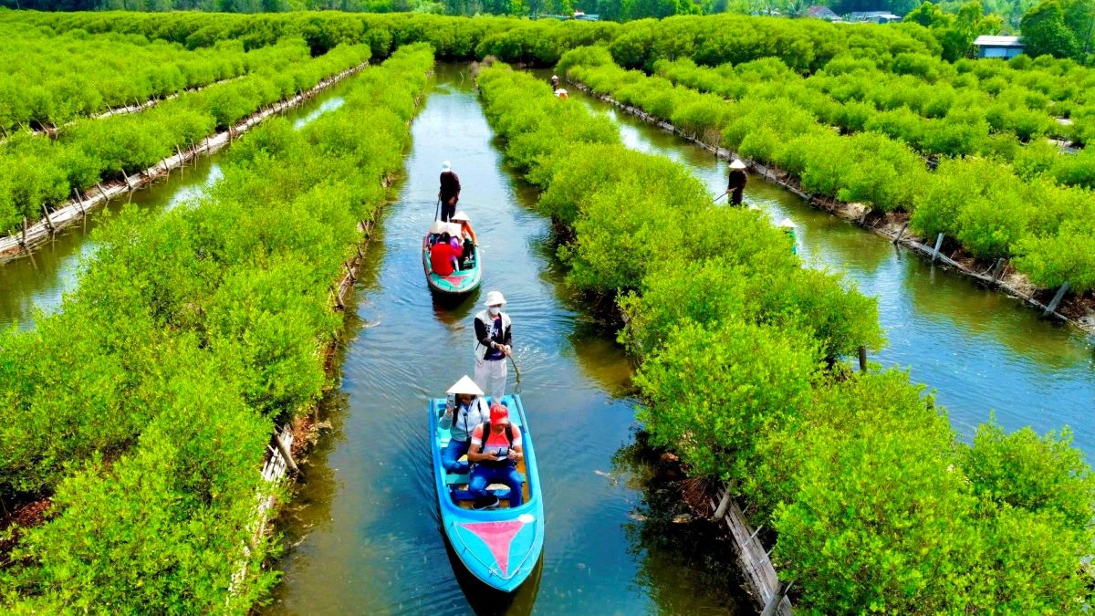 Khám phá rừng ngập mặn Bàu Cá Cái ở Quảng Ngãi