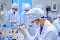 Mô hình đào tạo bác sĩ quốc tế và bài học cho Việt Nam