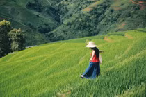 Tránh nóng lên Xím Vàng, thả mình giữa mùa xanh mướt