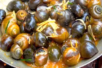 Loại ốc giàu dinh dưỡng, ít chất béo, tốt cho tim mạch, xương khớp