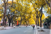 Hà Nội lọt top điểm đến ngắm lá mùa thu đẹp nhất châu Á